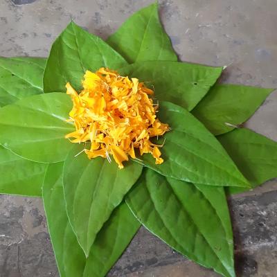 20190507 083447 Apmhamhs
